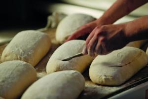 Artisan loaves on the rise